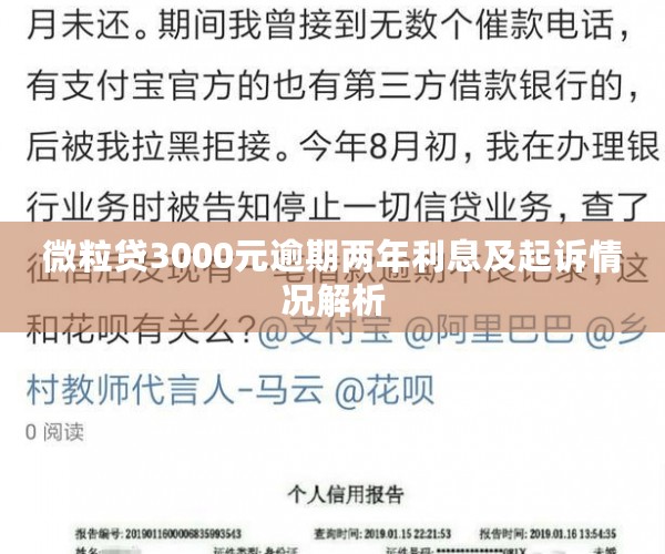 微粒贷3000元逾期两年利息及起诉情况解析