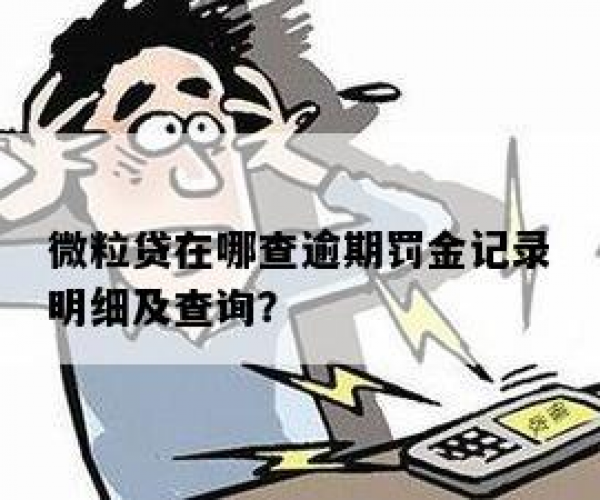 微粒贷怎样看逾期情况记录