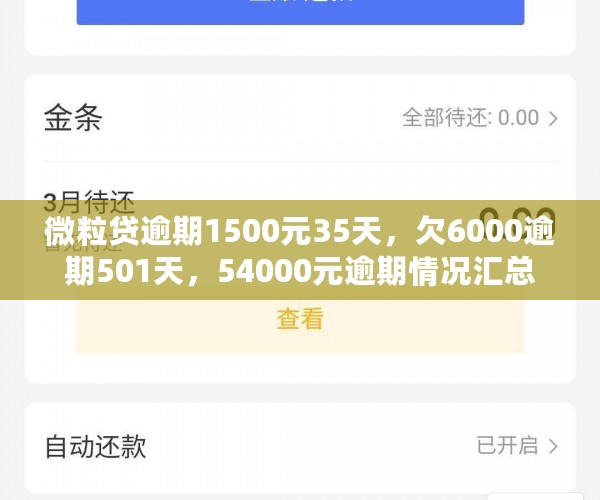 微粒贷逾期1500元35天，欠6000逾期501天，54000元逾期情况汇总