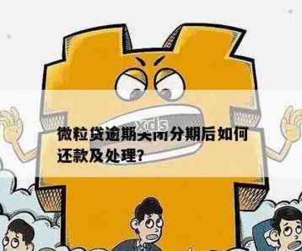 微粒贷逾期影响高消费，应对策略及解决方案