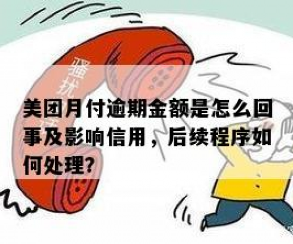 美团月付逾期后续程序是什么：逾期处理流程详解