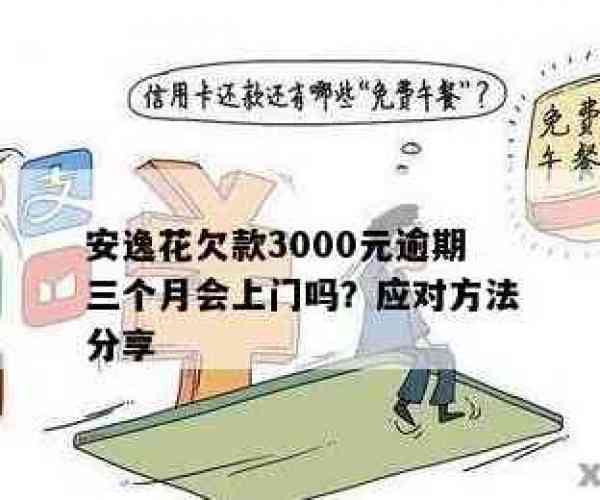 安逸花欠3000元逾期三个月,会上门催收吗,怎么办