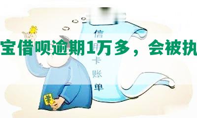 支付宝借呗逾期1万多，会被执行人吗？