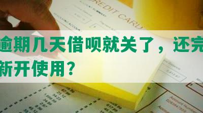 花呗逾期几天借呗就关了，还完多久能重新开使用？