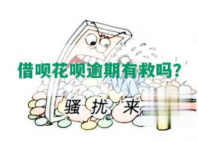 借呗花呗逾期有救吗？