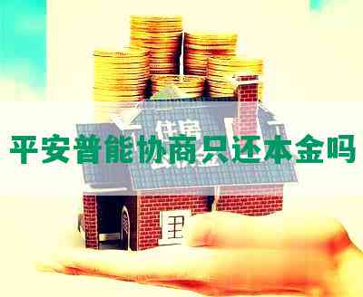 平安普能协商只还本金吗