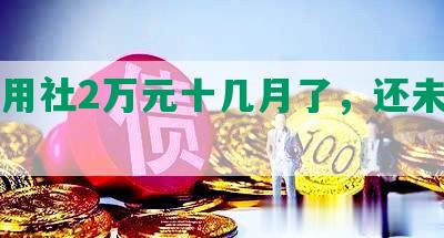 欠信用社2万元十几月了，还未还完！