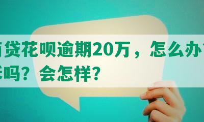 网商贷花呗逾期20万，怎么办？会起诉吗？会怎样？