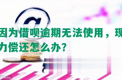 花呗因为借呗逾期无法使用，现在没有能力偿还怎么办？