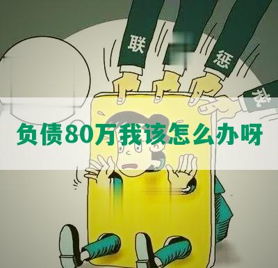 负债80万我该怎么办呀