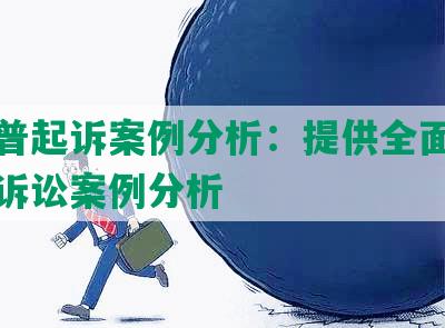 平安普起诉案例分析：提供全面、深入的诉讼案例分析