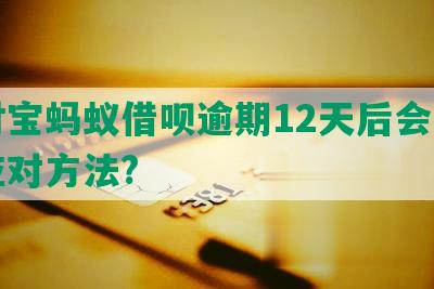 支付宝蚂蚁借呗逾期12天后会怎样及应对方法?