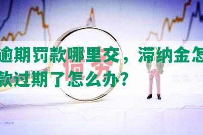 上海逾期罚款哪里交，滞纳金怎么算，罚款过期了怎么办？