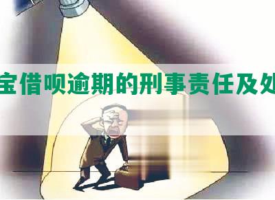 支付宝借呗逾期的刑事责任及处理方式