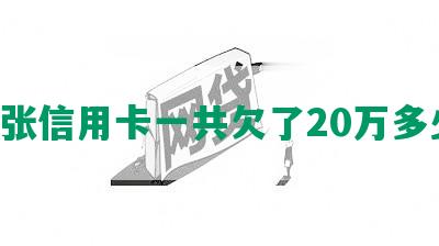 7张信用卡一共欠了20万多少