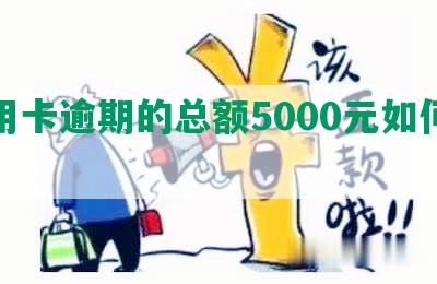 信用卡逾期的总额5000元如何处理