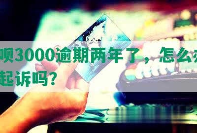 借呗3000逾期两年了，怎么办？会起诉吗？