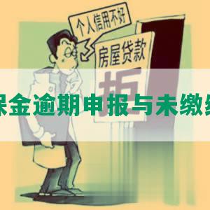 上海残保金逾期申报与未缴纳处理措