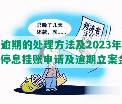 网贷逾期的处理方法及2023年新规：停息挂账申请及逾期立案金额。