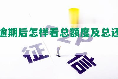 借呗逾期后怎样看总额度及总还款金额