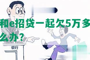 信用卡和e招贷一起欠5万多会起诉吗？怎么办？