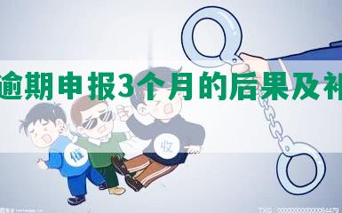 深圳逾期申报3个月的后果及补申报方法