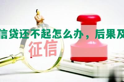 小额信贷还不起怎么办，后果及解决办法