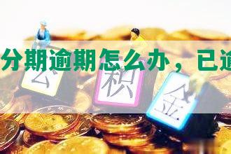 平安普分期逾期怎么办，已逾期4个月了？