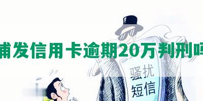 浦发信用卡逾期20万判刑吗