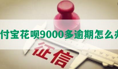 支付宝花呗9000多逾期怎么办？