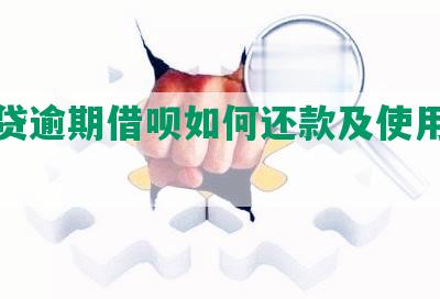 网商贷逾期借呗如何还款及使用问题解答