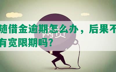 中信随借金逾期怎么办，后果不可承受，有宽限期吗？