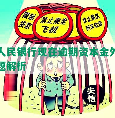 中国人民银行现在逾期资本金外汇储备问题解析