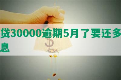 网贷30000逾期5月了要还多少利息