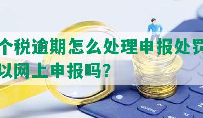 深圳个税逾期怎么处理申报处罚标准，可以网上申报吗？