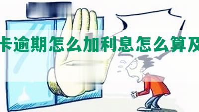 信用卡逾期怎么加利息怎么算及相关知识