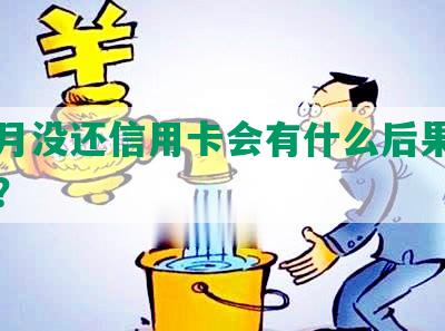 几个月没还信用卡会有什么后果吗怎么办？