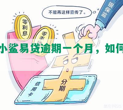 兴业小鲨易贷逾期一个月，如何解决？