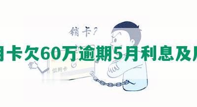 信用卡欠60万逾期5月利息及后果