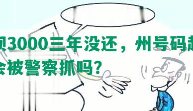 花呗3000三年没还，州号码起诉：会被警察抓吗？