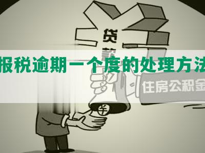 深圳报税逾期一个度的处理方法及后果