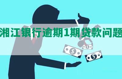 华融湘江银行逾期1期贷款问题调查结果