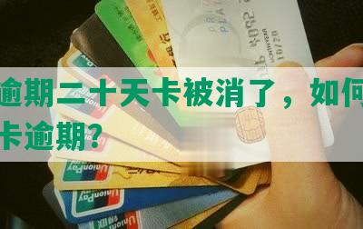 中信逾期二十天卡被消了，如何避免信用卡逾期？