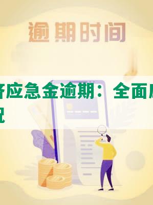 兴业救济应急金逾期：全面应对金融紧急情况