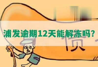 浦发逾期12天能解冻吗？