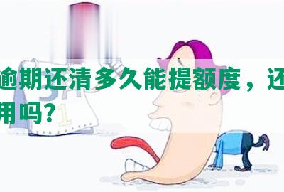 浦发逾期还清多久能提额度，还能继续使用吗？