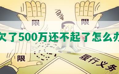 我欠了500万还不起了怎么办呢