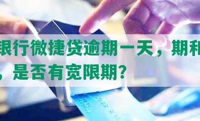 农业银行微捷贷逾期一天，期和续办时间，是否有宽限期？