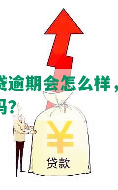 花呗消费贷逾期会怎么样，对以后贷款有影响吗？