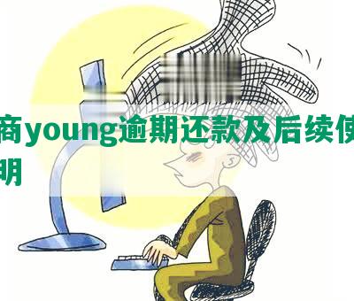 招商young逾期还款及后续使用说明